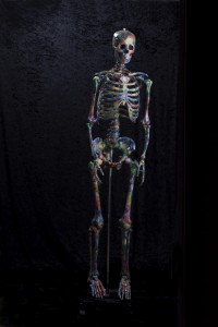 Doomed 2012-resin inkjet print on rice paper medical model 177 X 38 X 35cm.